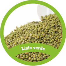 Linte verde